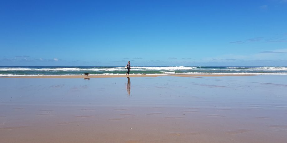 snshine coast beach